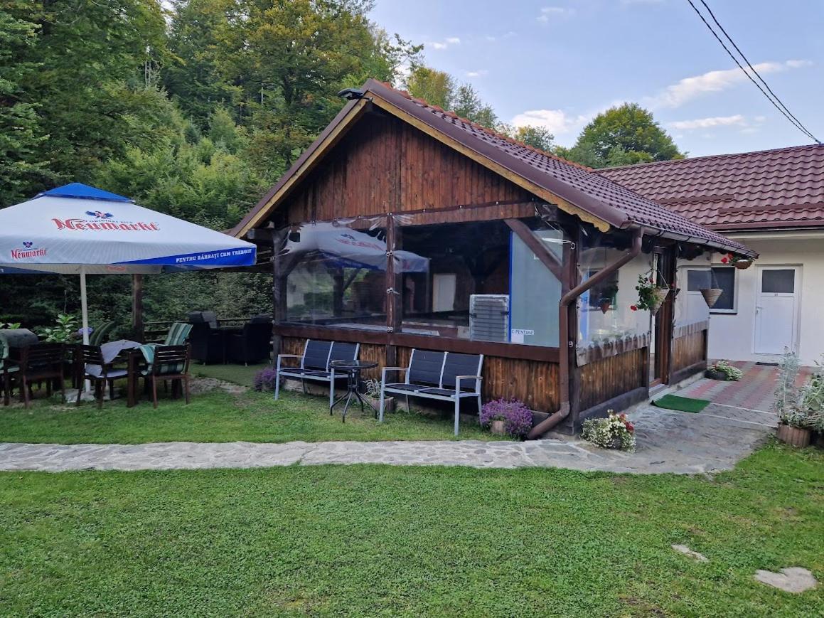 Casa Popa'S Hotel Cartisoara Exterior photo